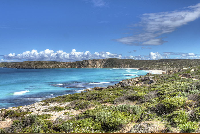 KANGAROO ISLAND BUS TOURS Charters tour packages transfers