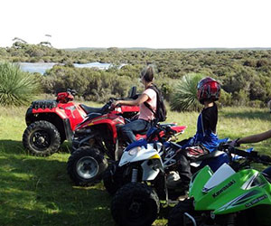 KANGAROO ISLAND BUS TOURS Charters tour packages transfers