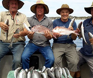 KANGAROO ISLAND BUS TOURS Charters tour packages transfers KANGAROO ISLAND BUS TOURS Charters tour packages transfers