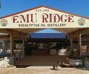 KANGAROO ISLAND BUS TOURS Charters tour packages transfers KANGAROO ISLAND BUS TOURS Charters tour packages transfers