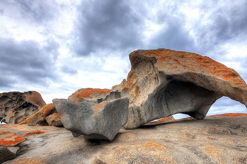 KANGAROO ISLAND BUS TOURS Charters tour packages transfers